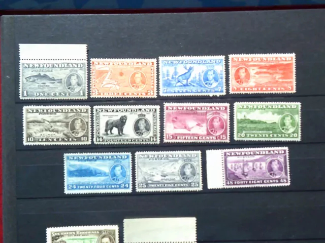 George V1 Newfoundland set of stamps all MNH