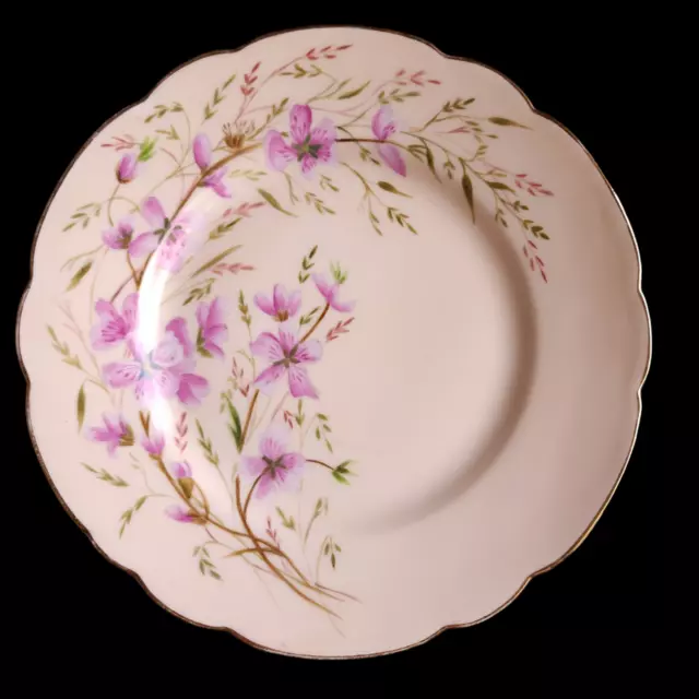 Antique Haviland Limoges Floral Hand Painted Plate