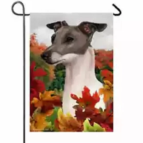 Fall Garden Flag (TB) - Black and White Italian Greyhound 139831