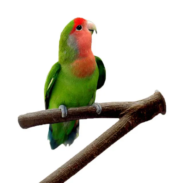 Papagei Holz Gabel Ständer Rack Spielzeug Hamster Zweig Sitzstangen für Vogel 2