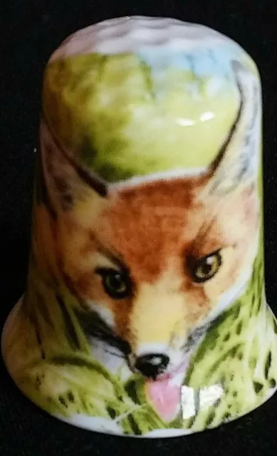 Rot Fox Largest True Fox Carnivora Northern Illustriert China Souvenir Fingerhut