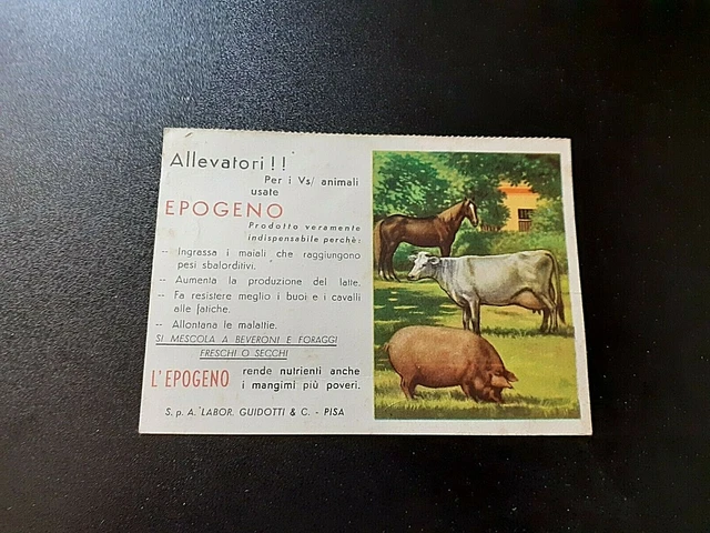 Epogeno - Pubblicita' Calendario 1955 - Misura 15X10 Cm