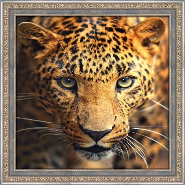 Artibalta Diamond Painting CRYSTAL ART  DIY Kit-  LEOPARD 30x30cm