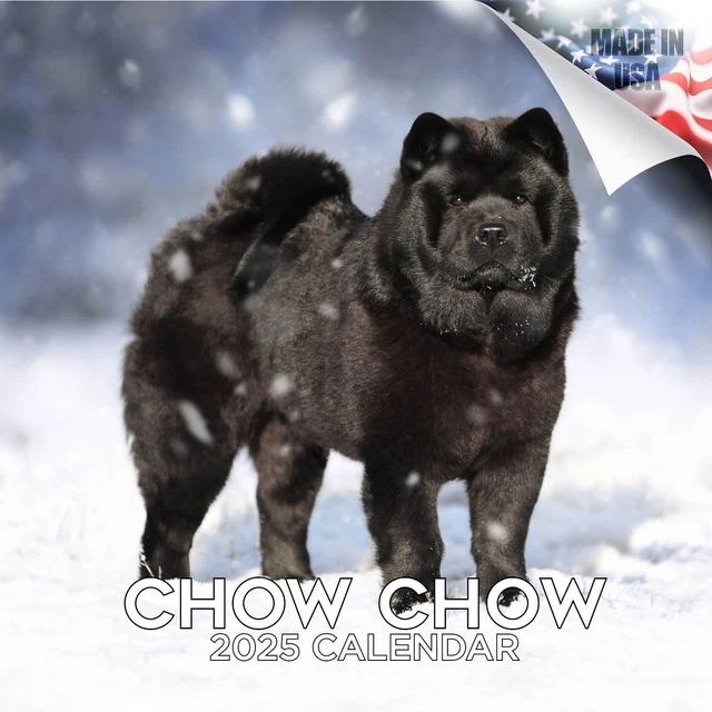 Le Calendrier 2022 Est Prêt! | Chow Au Coeur