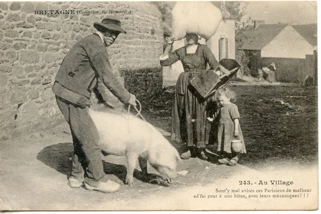 Carte Postale / Bretagne /  Au Village / Cochon
