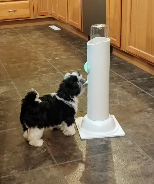 All Ages Pet Water Bottle Stand Dispenser Dog, Cat, Puppy, Portable Shih Tzu