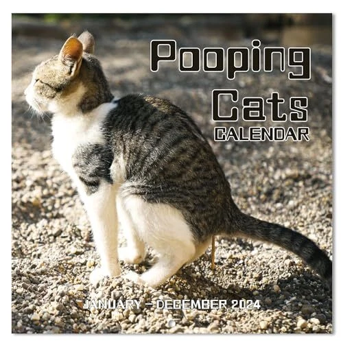 POOPING CATS CALENDAR 2024 Funny Calendar 2024 uk, From January to