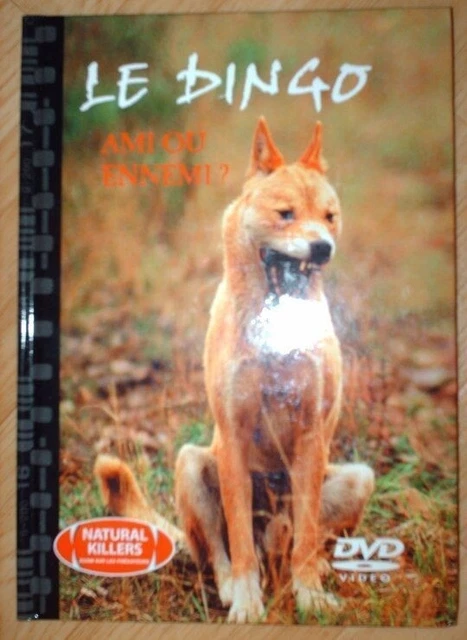 LE DINGO - AMI OU ENNEMI - NATURAL KILLERS N° 16 - DVD REGION 2 N&S Neuf