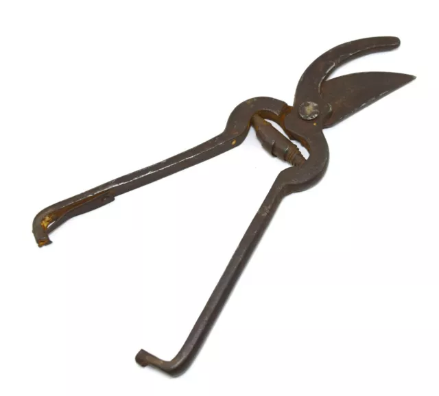 Vintage Flor Tijeras de Podar Poda – Único Cortador Herramienta G47-245