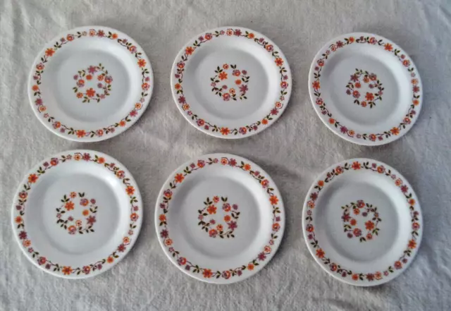 6 Assiettes  SCANIA 2914 dessert Arcopal fleurs orange