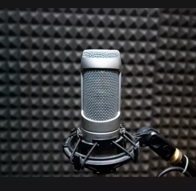 Voiceover Acting/Intro