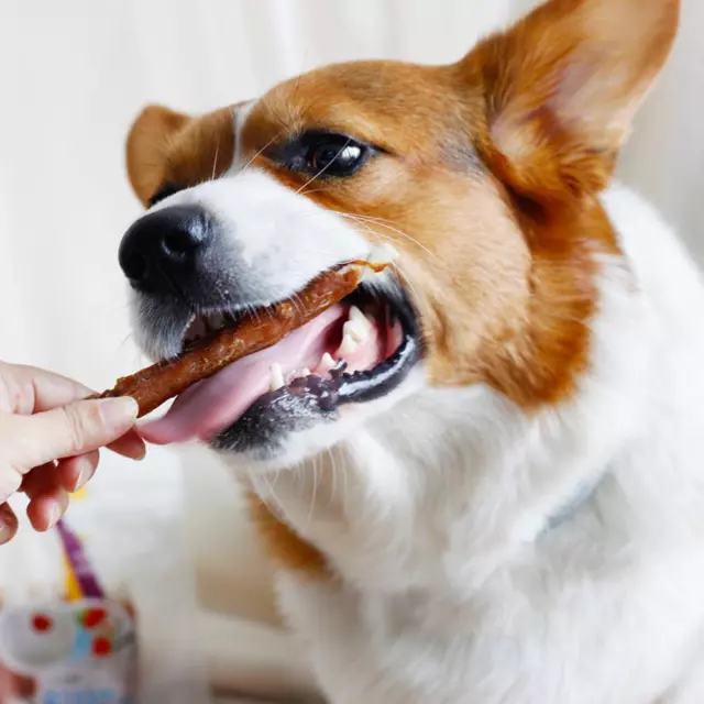110g Chicken Wrapped Jerky Beef Twists Chews Snacks Rawhide Pet Hot！！！ I1G8 X9S5