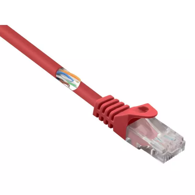 Renkforce RF-5043992 RJ45 Câble réseau, câble patch CAT 5e U/UTP 0.25 m rouge