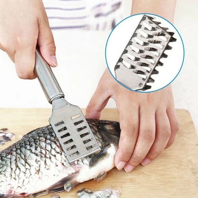 Herramienta de procesador de mariscos removedor de escamas de pescado cocina doméstica venta práctica