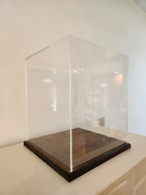 HUGE Vintage Collectible Taxidermy Bouquet Art Toy Display Case Wood Plexiglas