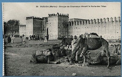 CPA: OUDJDA (Maroc) - Groupe de Chameaux devant la Porte des Têtes