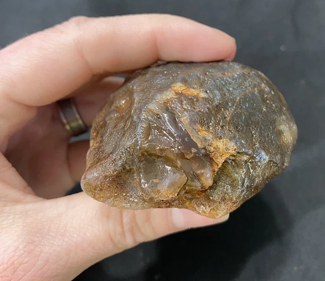 Rare Rough Botswana Agate whole nodule “THE LITTLE LUMPER” 5.3 Ounces B1 4