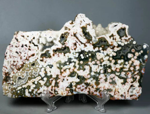 Collection ! Amazing Orbicular Ocean Jasper Agate Small Druzy Slab Crystal Reiki