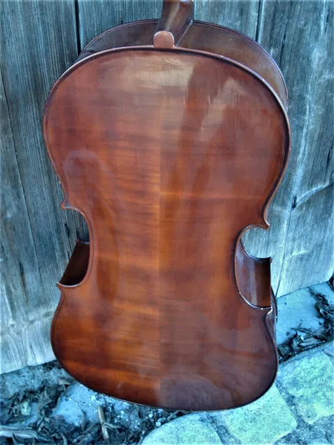 Altes  Cello m. Zt. "F. FULL GEIGENBAUMEISTER AUGSBURG 1969" 3