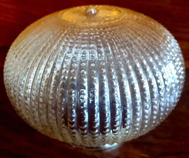Amber Peach Ribbed Hobnail Ceiling Glass Lamp Shade Light 3" Fitter Sea Urchin