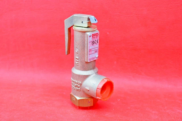 BOSS FIG 957 Safety Relief Valve DN20 66511222 169 99 PicClick UK