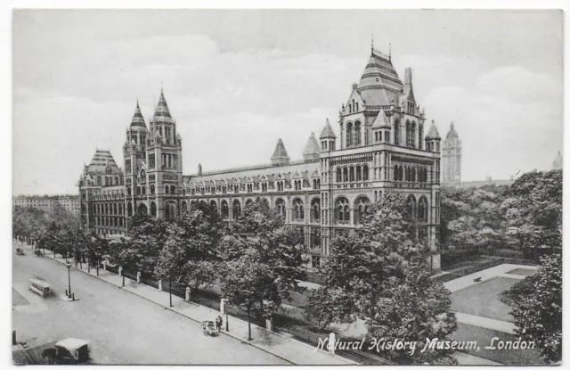 1940's UNUSED VINTAGE POSTCARD - NATURAL HISTORY MUSEUM LONDON GREAT BRITAIN