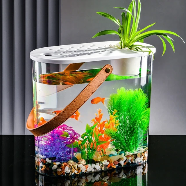 Curated visual reference: Gallery Detail: Plastic Goldfish Tank Cylinder Fish Bucket New Goldfish Bowl Office