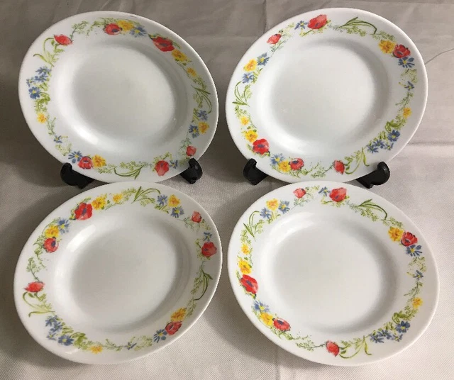 6 Assiettes Creuse Arcopal Décor Fruits de France - Vintage