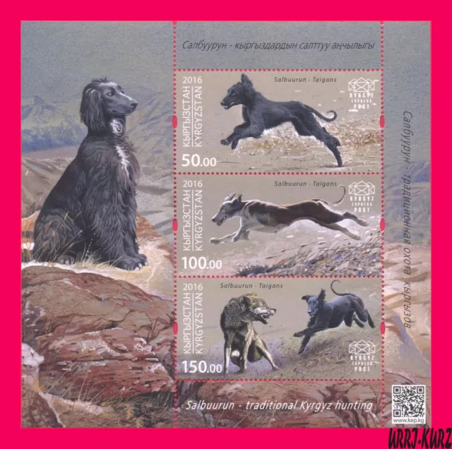 KYRGYZSTAN 2016 Traditional Kyrgyz Hunting Salbuurun Taigan Dogs Wolf Animals ss