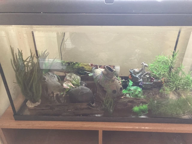 110l Interpet fish tank aquarium and accessorys 5