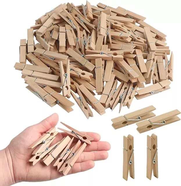 Clothes Pins, Small Clothes Pins for Photos, 1.4'' 100 PCS Natural  Birchwood Mini Clothes Pins, Strong Springs Colorful clothespins with  Storage