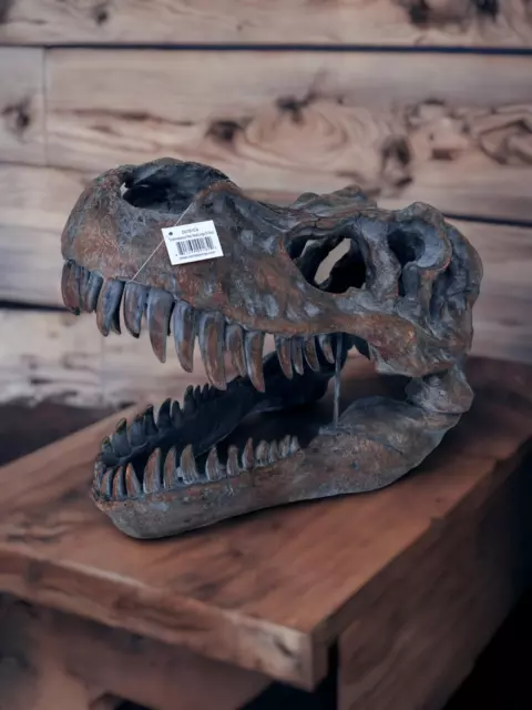 Extra Large Resin Tyrannosaurus Rex Skull 51.5cm by Nemesis Now - Wall Mountable