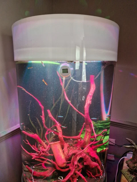 fish tank complete setup with sump