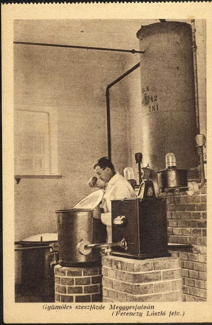Rumänien Ungarn 1940 GR.MURES ERDÉLYRÉSZI HANGYA SZÖVETKEZET Fantastisches ALBUM RR 10