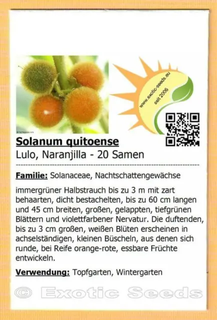 Solanum quitoense - Lulo - Naranjilla - 20-100 Samen mit Stecketikett