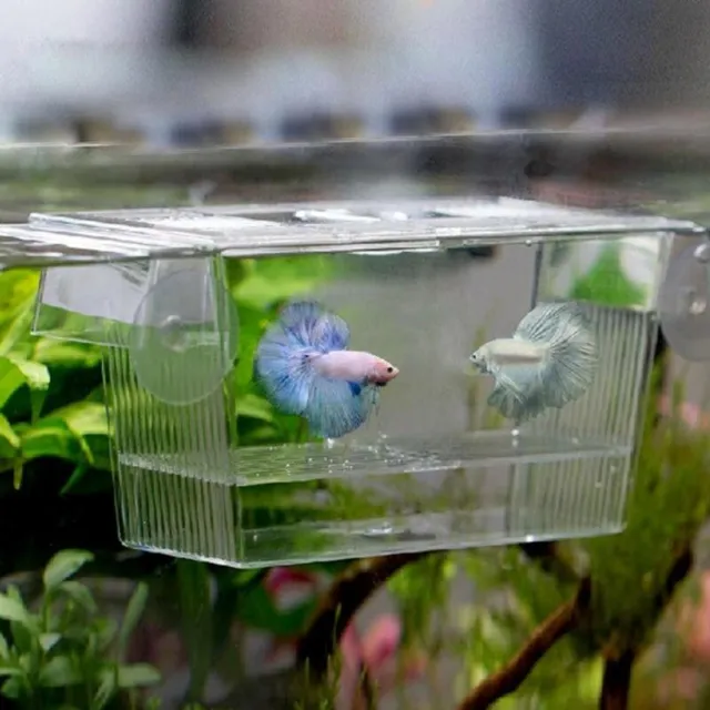 Aquarium Breeding Isolation Box Acrylic Fish Tank Hatchery Incubator Holder 1Pcs