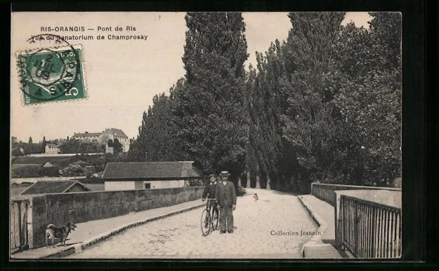 CPA Ris-Orangis, Pont de Ris - View of the Sanatorium de Champrosay 1909