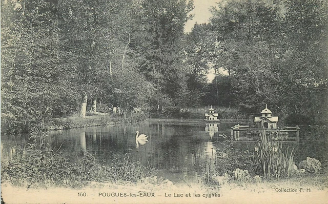 58 Pougues-Les-Eaux Le Lac Et Les Swans