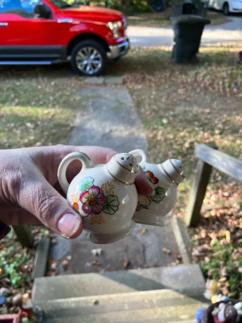 Hand Painted Salt and Pepper Shakers