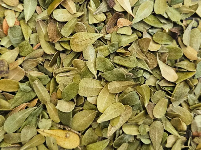 Bearberry - té de boticario de hierbas secas orgánicas Arctostaphylos uva-ursi 0,5-4 oz