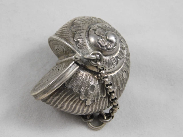 Fine Antique Continental Silver Mollusk Shell Snuff Box on Chain