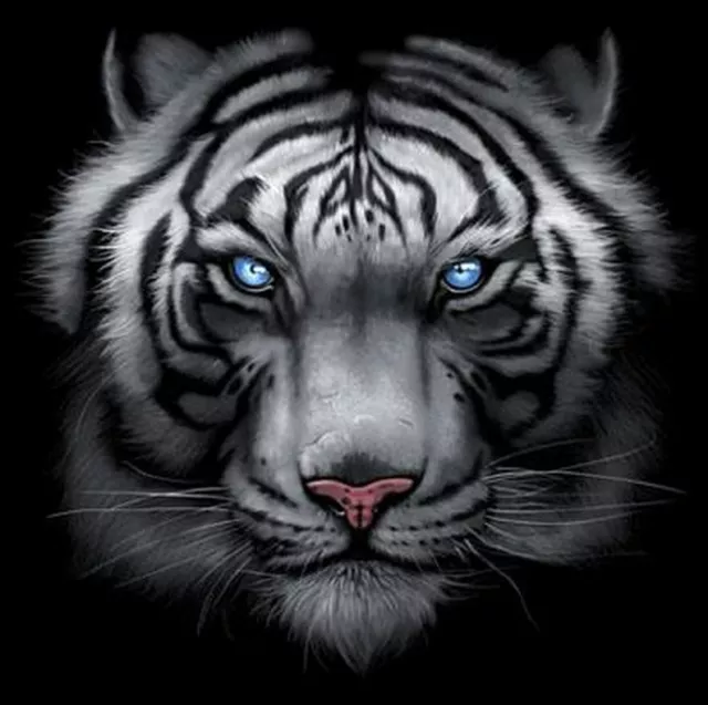 Majestic White Tiger T Shirt, Piercing Blue Eyes, Small - 5X