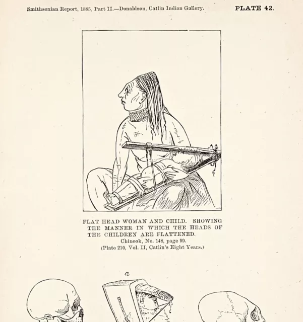 1885 Chinook Indian Head Flattening Indian Engraving G. Catlin Native American
