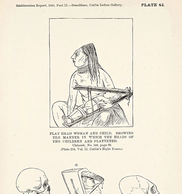 1885 Chinook Indian Head Flattening Indian Engraving G. Catlin Native American