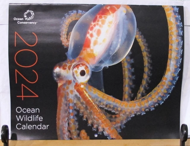 2023 OCEAN CONSERVANCY WILDLIFE Wall Calendar Whale Seal Pelican Turtle