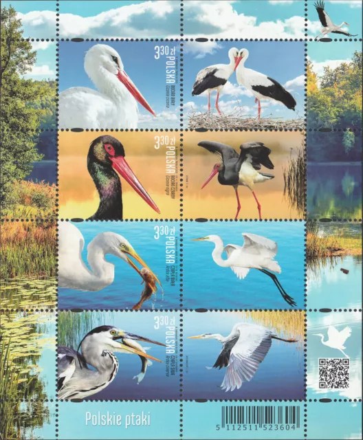 Poland 2020 - Polish birds (III) - Fi bl 352 MNH**
