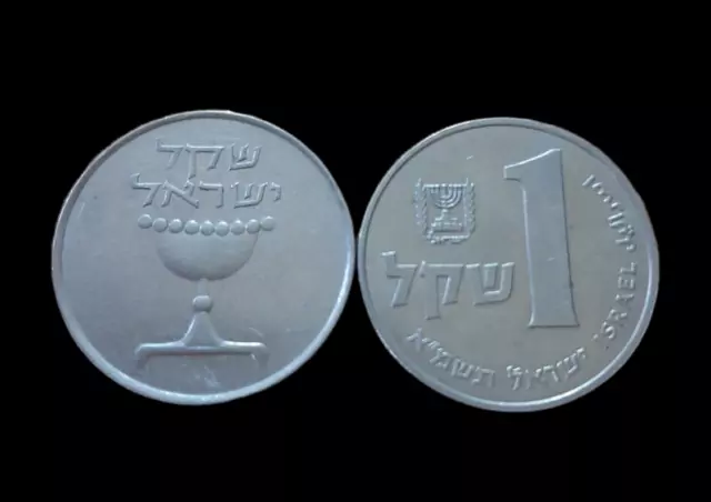 Israel 1 Shekel Coin 1980 - Iconic Collector's Piece