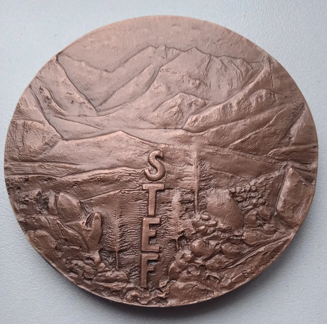 MEDAILLE DE TABLE Calendrier 1969 Monnaie De Paris Bronze Florentin EUR 45,00 - PicClick FR