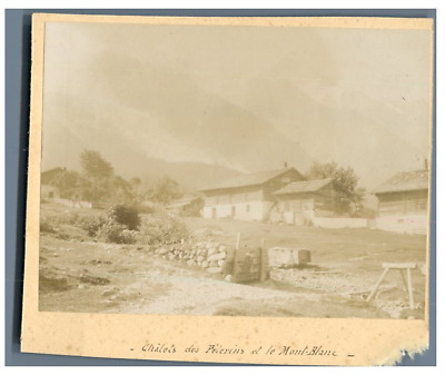 Petits bergers des Pèlerins près de Chamonix  Vintage citrate print Tirage cit 