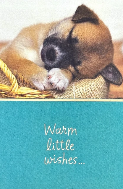 Get Well Soon » – Carte De Rétablissement Pour Chien – Mauvais